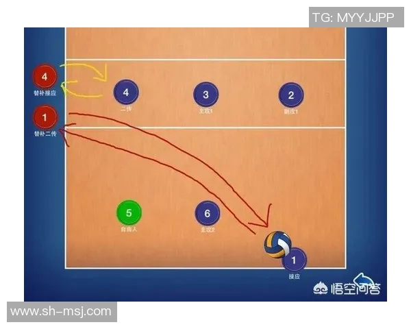重庆排球队的节奏解析与发展趋势探讨