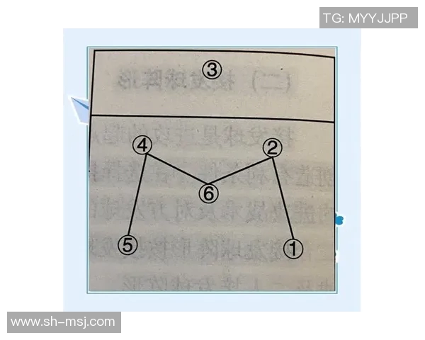 深圳排球队的节奏打法深度分析与战术解读